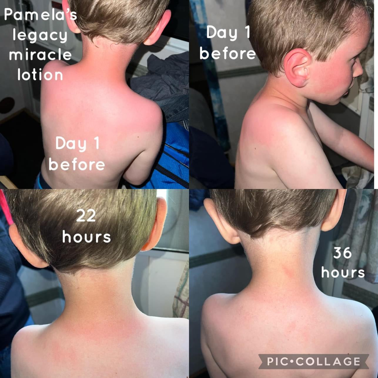 Pamelas Botanicals Miracle Pain Relief Lotion